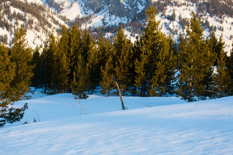 20150308-GC1A0316.jpg